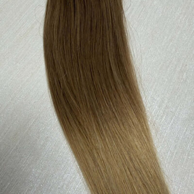Natural ratio Nano #T12/20 Ombre 100g 22 inches