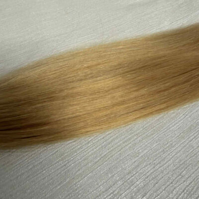 Premium Weft #22 Honey Blonde 25g 24 inches